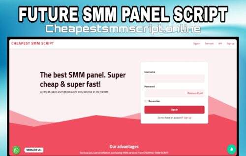 future smm panel script