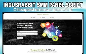 Indusrabbit Smm Panel Script With 10+Payments Gateway