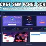 Rocket Skin – Smart Panel SMM Script With 10+ Payments Modules