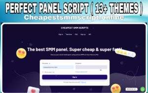 Perfect Panel Script With 10+ Payments Module