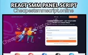 React SMM Panel Script With Auto Refill And All Payment Gateway