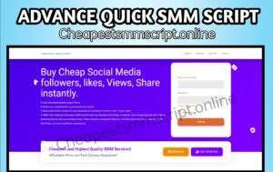 Advance Quick SMM Panel Script With Currency Converter
