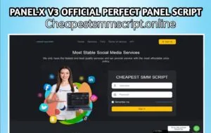 Panel-X v2 Perfect Panel Script With Payeer & Coinbase Gateway