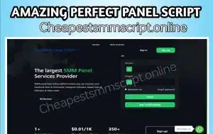 Amazing Perfect SMM Panel Script