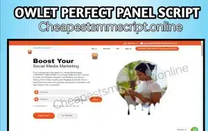 Owlet Perfect SMM Panel Script